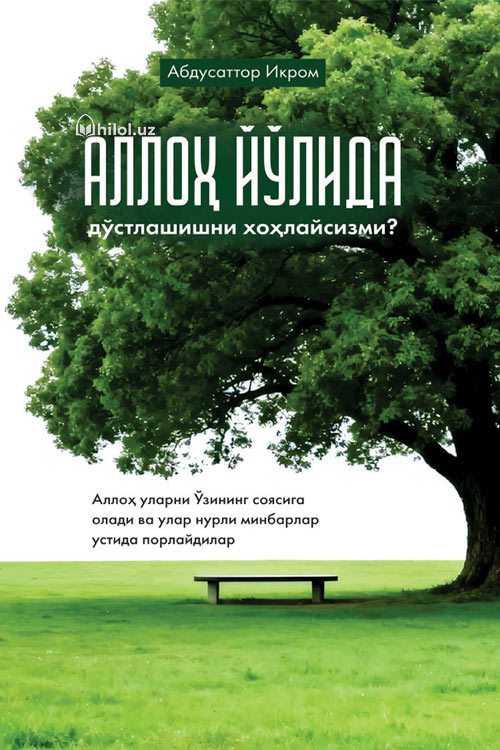 Аллоҳ йўлида дўстлашишни хоҳлайсизми? muqovasi