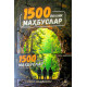 «1500 йиллик маҳбуслар»