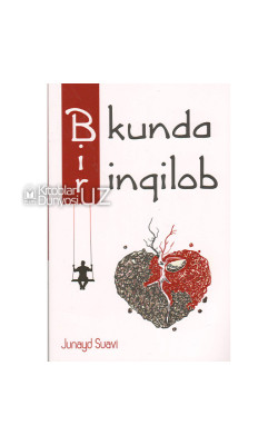 «Bir kunda inqilob»