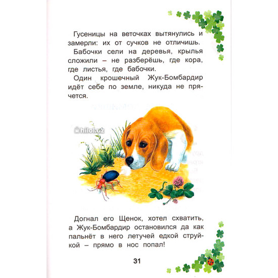 «Природа вокруг нас» (Утренниэ лучи)