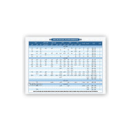 «Сарф фани бўйича феълларга намуналар» (плакат)