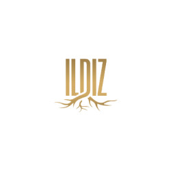 «Ildiz nashr»