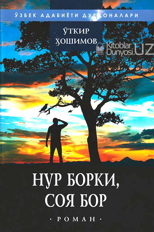 Нур борки, соя бор muqovasi