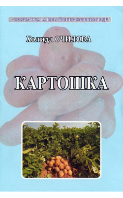 «Картошка»