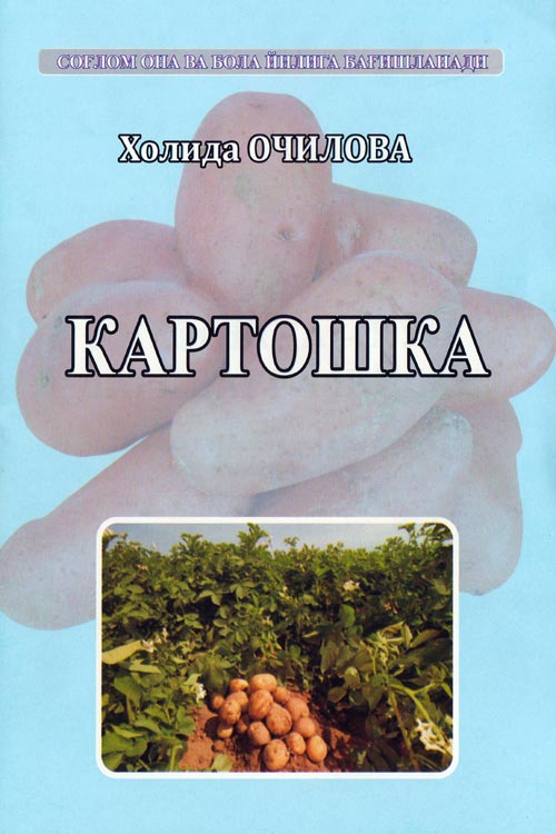 Картошка muqovasi